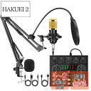 BONKYO カラオケセット家庭用 DJ ミキサー セット ライブ配信に対応 V8S オーディオインターフェース ミキサー オーディオ ライブ サウンドカード 男声 女声 ボイスチェンジャー/マイク スタンド タブレット アーム スタンド/マイク ポップガード ポップブロッカー クラ