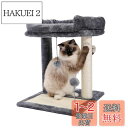 PAWZ Road キャットタワー ミニ 猫タワー 爪研ぎ 低い 小型 コンパクト 爪とぎポール 据え置き ミニタイプ 省スペース 猫おもちゃ天然サイザル 猫の...