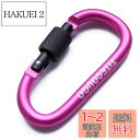 【送料無料】TITECOUGO アウトドア カラビナ おしゃれ 登山 小型 アルミ Dフック 頑丈 ネジロック バンジーコード ブランコ hammocks テン...