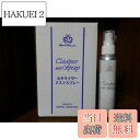 【送料無料】カタライザーミストスプレー 6本セット