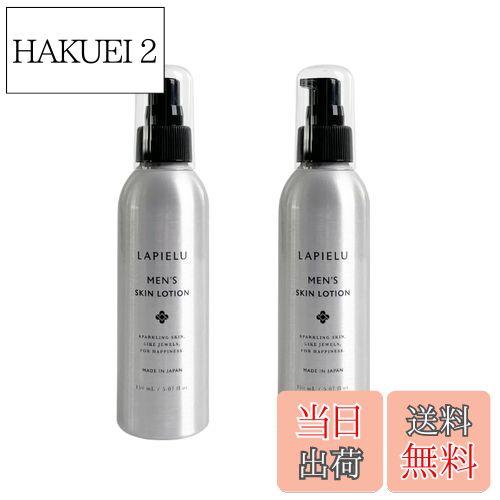 【送料無料】ラピエル メンズ オールインワンローション 2個セット メンズ化粧水 30代 40代 50代 男性 脂性肌 敏感肌 トータルケア化粧水 美容液 アフターシェーブローション 髭剃り 肌荒れ さっぱり 高保湿 毛穴 皮脂 テカり べたつき予防 メンズスキンケ 色：シルバー