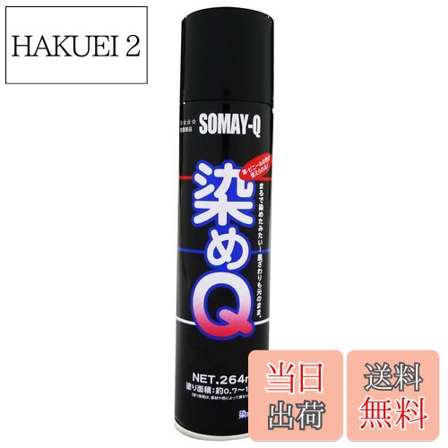 【送料無料】染めQテクノロジィ(Somay-Q Technology) 染めQエアゾール ブラック 264ML 油彩