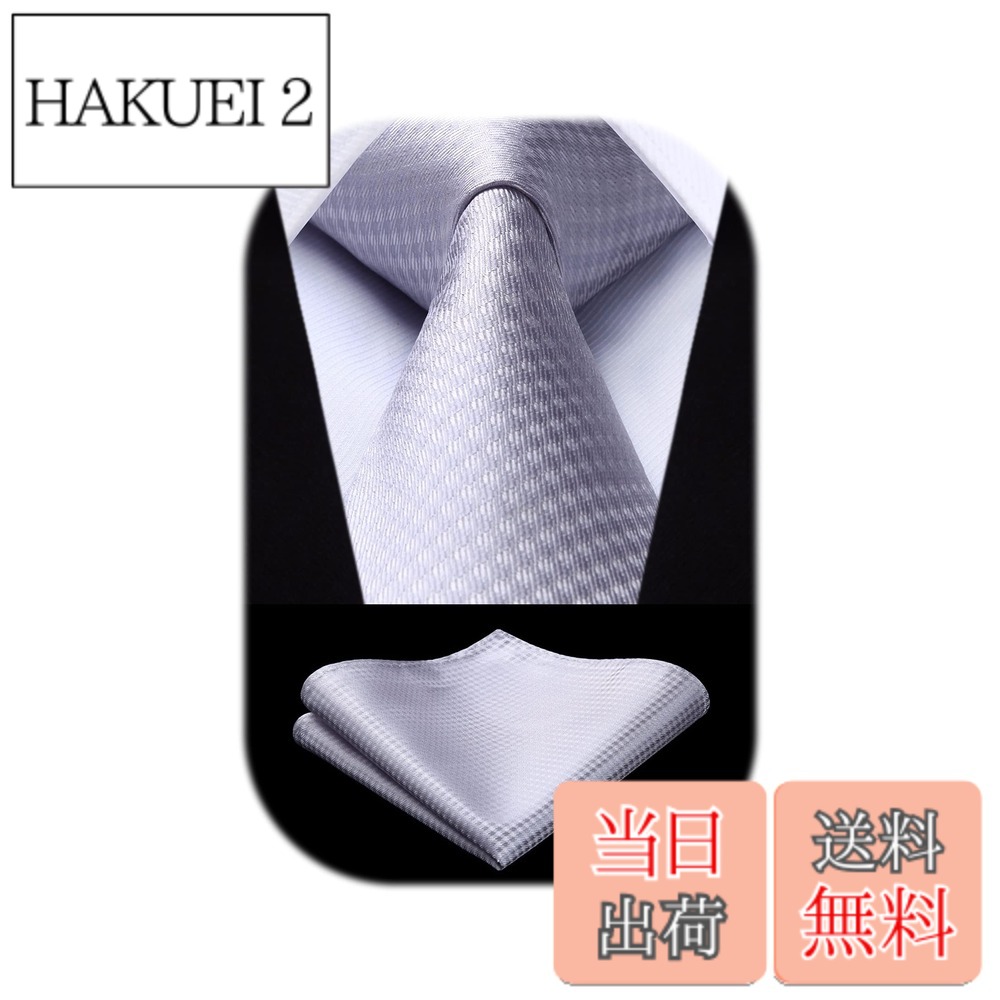【送料無料】[HISDERN] フォーマル シルバー ネクタイ チーフ セット メンズ 結婚式 柄 シルク ブランド 紳士 礼服用 ビジネス 入学式 卒業式 プレゼント 高級HC-01