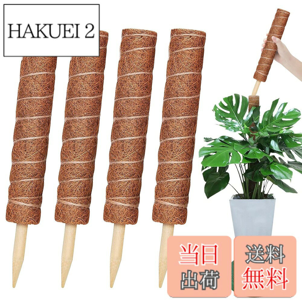 商品情報 商品の説明 主な仕様 【適用範囲】屋内外の様々な植物、特につる植物に適しています。 たとえば、モンステラ、ポトス、ランなど。植物が直立して成長することを助けて、つるが水平に広がるのを防ぎます。br【高品質素材】植物支柱は100％天然のココナッツ繊維でできており、優れた疎水性を確保し、植物に優れた登りプラットフォームを提供します。 丈夫で耐久性があり、長時間使用できます。br【使いやすい】植物支柱の下の部分は、土に差し込みやすく、植物の根系を傷つけない木製の先端で設計されています。 麻縄を使用すると、植物サポートの周りに植物を固定することができます。br【中空のデザイン採用】園芸柱の中空部を通して、植物が成長するにつれて、柱の高さは簡単に重ね合わされます、植物に根まで水をやります。br【園芸支柱セット】40cm園芸支柱4つ、2 mのマジックテープ。 # 【送料無料】YOUSHY4個40cm園芸支柱 観葉植物モンステラ 支柱 ヘゴ支柱 植物を育てる際に、特につる性の観葉植物にとって、適切な支えが大変重要です。モンステラやポトスなど、成長過程でどうしても倒れたり、曲がったりしてしまうことがありますよね。そのような悩みに共感する方も多いのではないでしょうか。YOUSHYの園芸支柱は、そんなお悩みを解消するために設計されており、安心して植物を成長させるための強力なサポートを提供します。これにより、植物が瑞々しく健やかに成長し、お庭や室内を華やかに彩ります。さらに、天然素材で作られており、長持ちする設計ですので、安心してお使いいただける商品です。あなたのガーデニング生活をより楽しく、充実させるために、ぜひYOUSHYの園芸支柱をお選びください。 ## YOUSHY園芸支柱の特長 YOUSHYの園芸支柱は、100％天然のココナッツ繊維で製造されており、植物に優しい設計がされています。そのため、植物がしっかりと根を張り、直立して成長するのを助けることが可能です。特に、モンステラやポトスなどのつる性植物には最適なアイテムです。これらの植物は成長と共につるが広がるため、支えが必要不可欠です。 また、支柱の下部には木製のポイントが使われています。これにより、土に差し込みやすく、植物の根系を傷つける心配がありません。これまで支柱を使った際に、根を傷めてしまった経験がある方には特にお勧めです。 さらに、YOUSHYの支柱は中空デザインを採用しており、植物が成長するにつれて、支柱の高さを重ねることが容易です。これにより、水やりも簡単になり、植物全体にしっかりと水分を行き渡らせることが可能です。 そして、セット内容としては4個の40cm園芸支柱と、2mのマジックテープが含まれており、様々な植物に対応できます。お手元の植物に合わせて自由に設置できるため、ガーデニング初心者から上級者まで幅広く利用ていただけます。 ## 使用方法と手入れ YOUSHYの園芸支柱は、使い方も非常に簡単です。まず、支柱を必要な位置に差し込みます。この時、植物の根系を傷つけないように、適切な位置を選ぶことが大切です。支柱を差した後は、支柱の周りに植物を絡ませるように麻縄を使用することで、しっかりと固定できます。この固定がしっかりしていると、植物が安心して成長できます。 手入れとしては、支柱自体は耐久性が高いため、特別な手入れは必要ありませんが、植物の状態を見ながら、支柱の高さを調整することが重要です。成長に合わせて高さを調整することで、植物が自然な形で成長できます。 また、ココナッツ繊維は優れた疎水性を持っており、過剰な水分を含みにくい特性がありますが、土壌の水分状況には注意が必要です。過湿な状態になると根腐れを引き起こすことがありますので、適度な水やりを心がけることが必要です。 他の園芸用具と同様に、使用後に清掃を行うことで、長持ちさせることができます。特に土が付着している場合は、軽くハケや濡れタオルで拭き取ると良いでしょう。清潔に保つことで、より快適に使用できます。 ## こんな方にオススメ YOUSHYの園芸支柱は、特につる性植物を愛する方に特におすすめです。家庭でモンステラやポトスを育てている方には最適で、しっかりとした支えを提供します。また、植物が育つ過程で支柱の高さを調整できるので、成長に合わせて使いやすさが増します。 初心者の方でも扱いやすい設計になっているため、ガーデニングに興味はあるが、どうやって植物を育てたら良いか分からないという方にもぴったりです。また、支柱を使うことで、見た目も整い、部屋の中でもインテリアとして使えます。 さらに、忙しくて植物のお手入れが難しい方にも最適です。この支柱があることで、植物の姿勢を安定させ、手間を軽減できます。これにより、自分のライフスタイルに合わせて、気軽にガーデニングを楽しむことができるのです。 手軽に使えて、かつ効果的な支柱を探している方々に、自信を持っておすすめできる商品です。あなたの植物たちも、この支柱を利用することでより元気に育つことでしょう。 ## まとめ - YOUSHYの園芸支柱は天然ココナッツ繊維を使用しており、植物に優しい設計です。 - 簡単に設置でき、植物の成長に合わせて高さを調整可能です。 - しっかりとした支えがあることで、つる性植物が元気に成長できます。 - 手間が少なく、初心者でも扱いやすい商品です。 - ガーデニングを楽しく、さらに充実させるアイテムとしておすすめです。