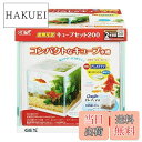 【送料無料】GEX 金魚元気 キューブセット 水槽サイズ:約W20×D20×H20cm 水容量:約6L 水槽ホワイトフレーム幅20cm