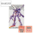 MG 1/100 XM-X1 クロスボーンガンダムX-1 Ver.Ka (機動戦士クロスボーン・ガンダム)