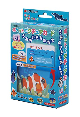 エポック社 【ポケットピクチュアカード】 うみのいきものたち 08-304 リング&透明カバー付き 3歳以上 おもちゃ