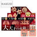 童友社 木製立体パズル 大天才の赤箱 全6種各1個入りセット