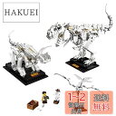 【送料無料】レゴ(LEGO) アイデア 恐竜の化石 21320