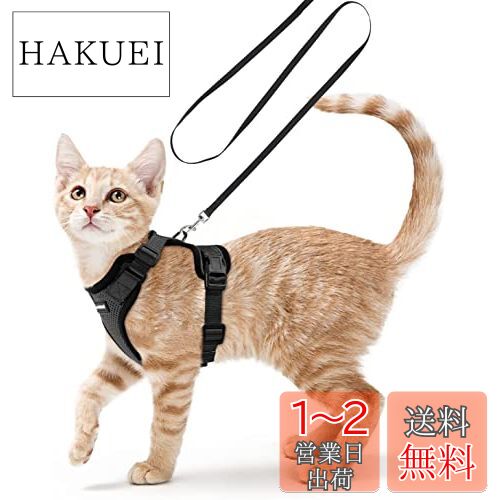 Rabbitgoo 猫ハーネス 猫用 ハーネス リード セット 犬猫兼用 超小型犬 小型犬 抜けない ソフト胸あて 軽量 胴輪 通気メッシュ 足を上げず装着完成 サイズ調節可 夜反射 咳込み防止 ネコ 散歩 外出 災害避難用 ひも はーねす りーど（黒 Sサイズ）