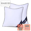 Belinna クッション中身 45x45cm*2(他のサイズもある)厚い 潰れない 二個セット cushion 背もたれ ソファークッション ヌードクッション...