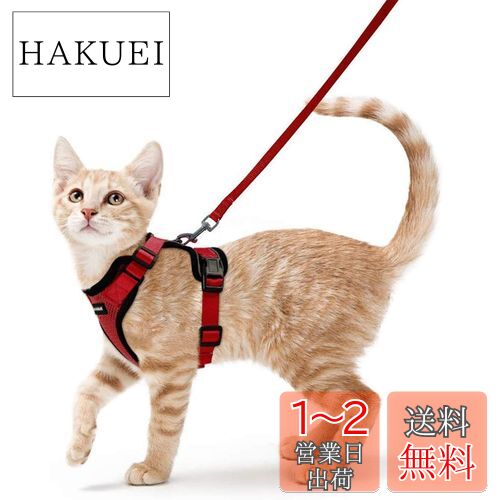 Rabbitgoo 猫 ハーネス リード セット 抜けにくい ソフト胸あて 軽量 超小型犬 小型犬 猫 散歩 用 ハーネス 胴輪 足を上げず装着完成 サイズ調節可 夜反射 通気メッシュ 咳込み防止 猫 散歩 紐 ひも はーねす りーど（レッド XS）