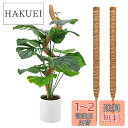 OKTOKYU 園芸支柱 観葉植物モンステラ ココスティック ココナッツ ガーデニング つる植物 支柱 植物サポート プラントクライミングポール 園芸用 2本セ...
