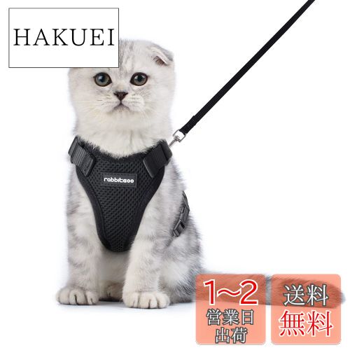 Rabbitgoo 猫 ハーネス リード セット 小型犬 犬猫兼用 抜けない はーねす ソフト胸あて 軽量 足を上げず装着完成 サイズ調節可 ネコ 散歩 紐 夜反射 通気メッシュ 咳込み防止 胴輪 ベスト りーど（黒 XSサイズ）