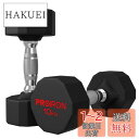 PROIRON 鋼 ダンベル だんべる 10kg 2個セット 鉄アレイ ダンベル ?? dumbelll set 家庭用および商業用に適しています