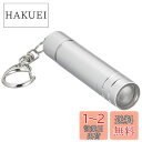 エルパ (ELPA) LEDキーライト LEDライト 懐中電灯 ランタン 直径16×全長76mm シルバー DOP-785(SL)