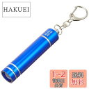 エルパ (ELPA) LEDキーライト LEDライト 懐中電灯 ランタン 直径16×全長76mm ブルー DOP-785(BL)