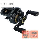 ダイワ(DAIWA) ベイトリール 19 スティーズ CT SV TW 700HL(2019モデル)