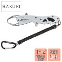 ダイワ(DAIWA) フィッシュグリップV 170 シルバー