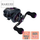 ダイワ(DAIWA) LIGHT SW X IC L カウンター付ベイトリール