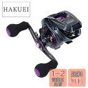 ダイワ(DAIWA) LIGHT SW X IC R カウンター付ベイトリール
