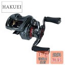 ダイワ(DAIWA) ベイトリール 19 スティーズ CT SV TW 700SHL(2019モデル)