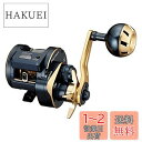 ダイワ(DAIWA) 21 ソルティガIC 100L