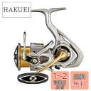 ダイワ(DAIWA) 21 フリームス LT3000-XH