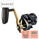 ダイワ(DAIWA) 21 ソルティガIC 300H-SJ