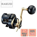 ダイワ(DAIWA) 21 ソルティガIC 300L
