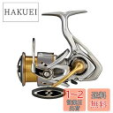 ダイワ(DAIWA) 21 フリームス LT3000-C