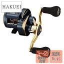 ダイワ(DAIWA) 21 ソルティガIC 100PL-DH