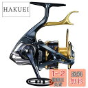 シマノ(SHIMANO) スピニングリール 21 BB-X テクニウム C4000D TYPE-G SR 磯
