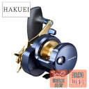 ダイワ(DAIWA) ベイトリール 22 ソルティガ 15S(2022モデル)