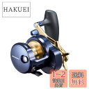 ダイワ(DAIWA) ベイトリール 22 ソルティガ 15SL(2022モデル)
