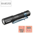 ACEBEAM Pokelit AA 懐中電灯 小型 軽量 強力 550ルーメン 高演色性 Ra90 3段階調光 500回以上充電可能です 1x単三に対応 IP...