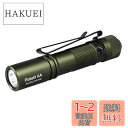 ACEBEAM Pokelit AA 懐中電灯 小型 軽量 強力 550ルーメン単三 3段階調光 高演色性 Ra90 IP68防水 最大9日の実行時間 安定した...