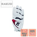 【送料無料】BRIDGESTONE(ブリヂストン) ゴルフグローブ STRONG DUAL GLG21 メンズ