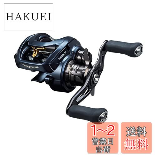 (DAIWA) Х ٥ȥ꡼ STEEZ(ƥ) AII TW 1000XHL 2022ǯǥ