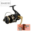 ダイワ(DAIWA) スピニングリール 23BG SW 8000-H