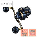 ダイワ(DAIWA) カウンター付キオフショアベイトリール ソルティガIC 300-DH