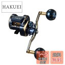 ダイワ(DAIWA) カウンター付キオフショアベイトリール ソルティガIC 100HL-DH