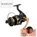 ダイワ(DAIWA) スピニングリール 23BG SW 8000-P