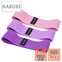 TheFitLife ヒップバンド 美尻 高耐久 トレーニングチューブ ストレッチ 内転筋 レジスタンスバンド トレーニング器具 エクササイズ 肌に優しい 筋トレ 軽量 フィットネス ヒップアップ ?力? 持ち運びやすい (ピンク/ラベンダー/パープル)