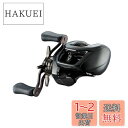 ダイワ(DAIWA) バスベイトリール 24STEEZ(スティーズ) SV TW 100 (2024年モデル)