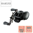 ダイワ(DAIWA) バスベイトリール 24STEEZ(スティーズ) SV TW 100H (2024年モデル)
