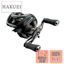 ダイワ(DAIWA) バスベイトリール 24STEEZ(スティーズ) SV TW 100XHL (2024年モデル)