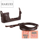 パナソニック ボディケース&ストラップキット DMW-BCSK4-T