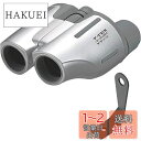 Kenko 双眼鏡 V-TEX 18~100×28 ポロプリズム式 18倍~100倍 28口径 シルバー VT-8100(2)