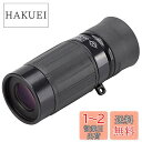 Kenko 単眼鏡 ギャラリーEYE 6×16 6倍 16mm口径 最短合焦距離25cm BLACK 日本製 014707 ブラック